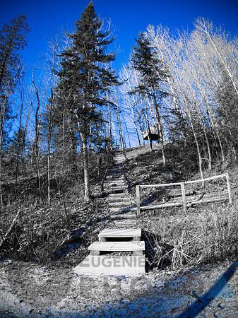 Steps in winter