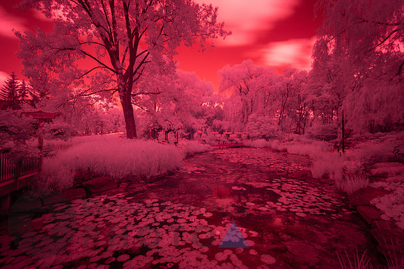 Beautiful Infrared Landscape