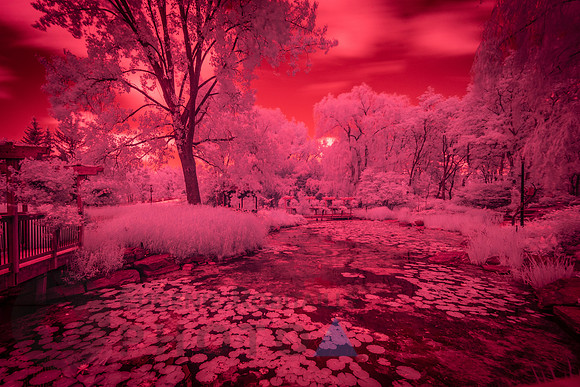 Beautiful Infrared Landscape