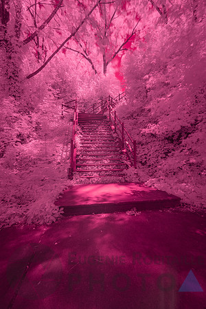 Parc Frédéric Back, Montréal, Québec, Canada