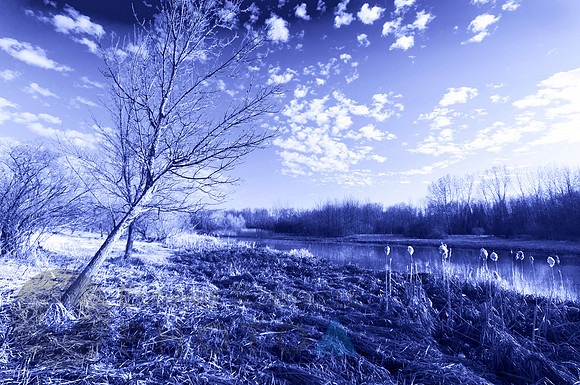Landscape in spring