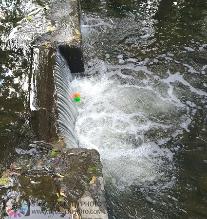 Déchets, peinture, poudre colorer, ballons, et plus dans le parc de Brouage, Boucherville suivent une activité de camp de jour le 2018-08-07