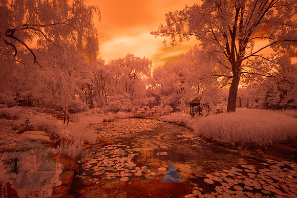 Beautiful Infrared Landscape