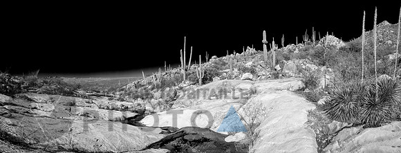 Desert landscape