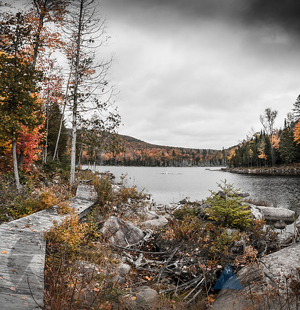 Autumn landscape