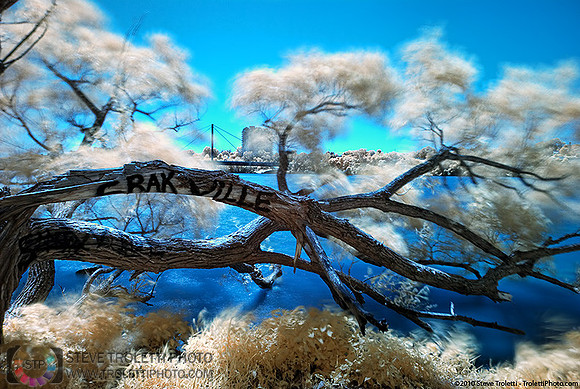 INFRARED GRAFFITI ON TREES