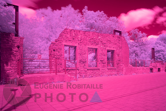 Parc-nature-de-l’Île-de-la-Visitation