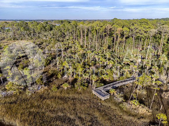 Dutton Island Preserve West Deck 2