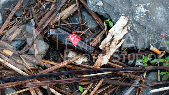 Déchets - Parc Nature Île-de-la-Visitation Nature Park - Litter
