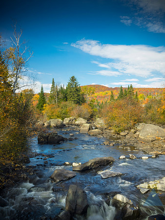 Autumn landscape