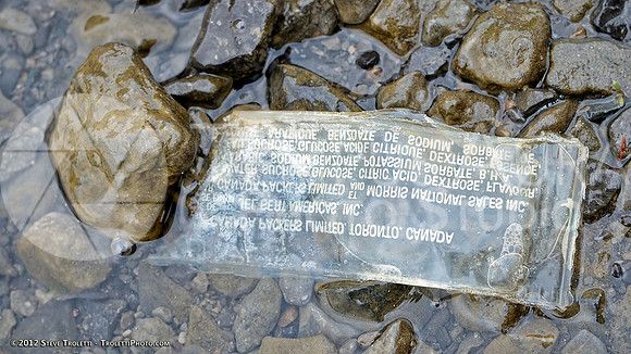 Trash Littering the banks of Montreal's Île-de-la-Visitation Nature Park