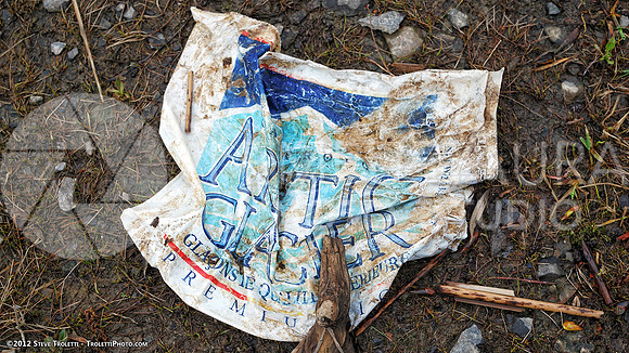Trash Littering the banks of Montreal's Île-de-la-Visitation Nature Park