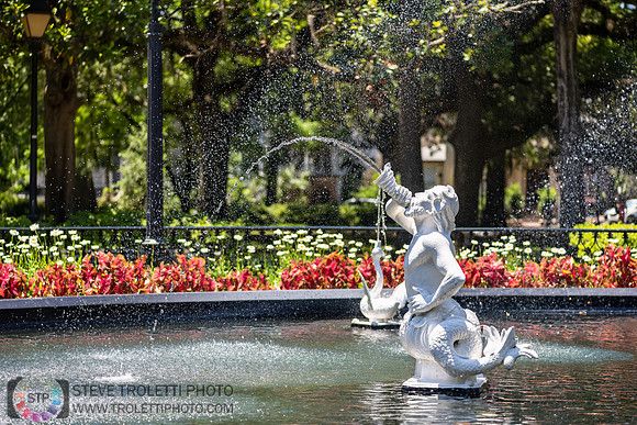 Forsyth Park Fountain Merman