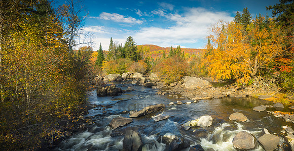 Autumn landscape
