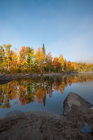 Fall and nature