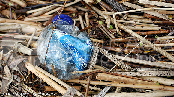 Trash Littering the banks of Montreal's Île-de-la-Visitation Nature Park