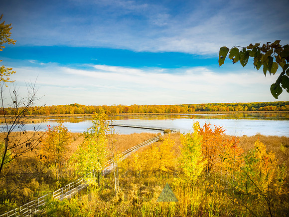 Autumn landscape