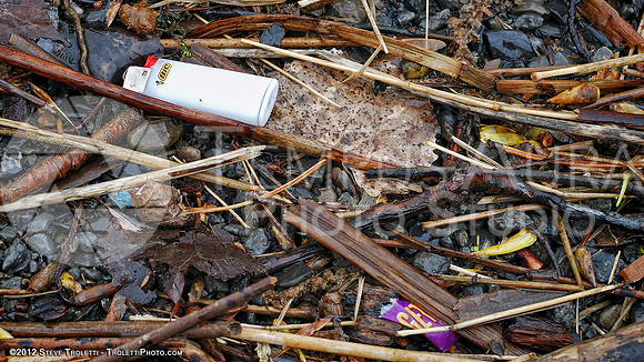Trash Littering the banks of Montreal's Île-de-la-Visitation Nature Park