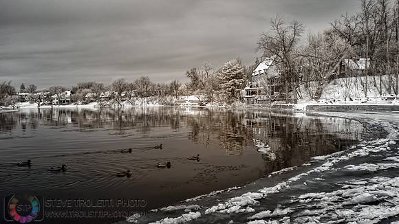 Winter living along the river - vie d'hiver le long de  la rivière - IR