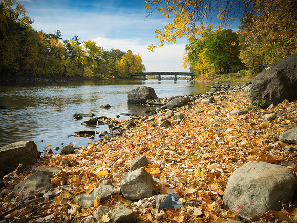 Autumn landscape