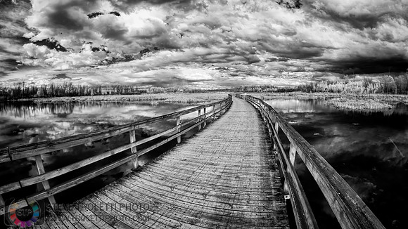 The long and narrow path - IR - Le chemin long et étroit