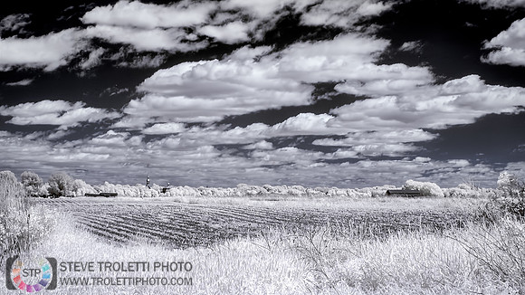 L'Agriculture su l'ile de la commune - IR