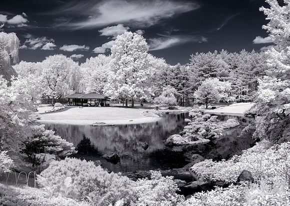 Jardin japonais - Japanese Garden - IR