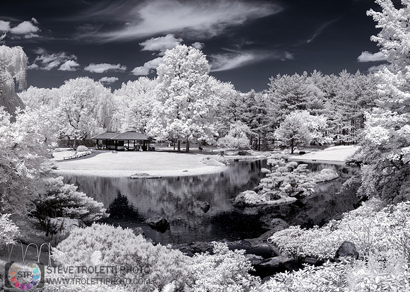 Jardin japonais - Japanese Garden - IR