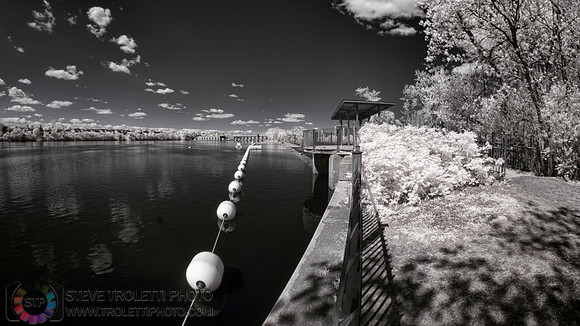 Belvédère - Parc Nature de l'ile de la visitation - IR