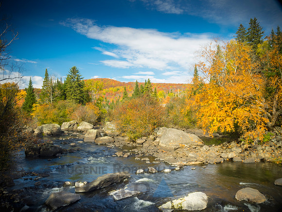 Autumn landscape