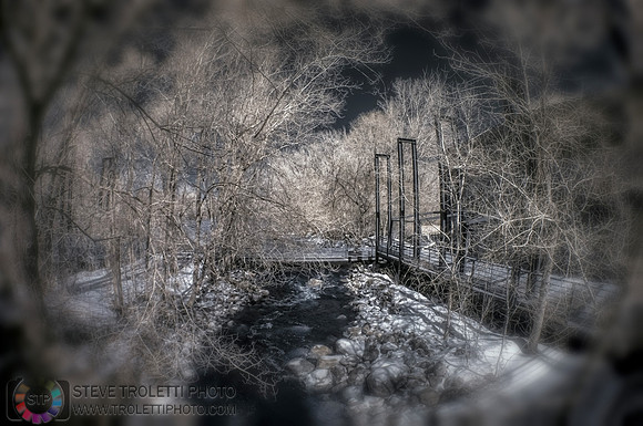 Vision of Spring - IR - Vision du printemps
