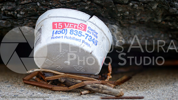 Trash Littering the banks of Montreal's Île-de-la-Visitation Nature Park
