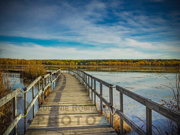 Autumn landscape