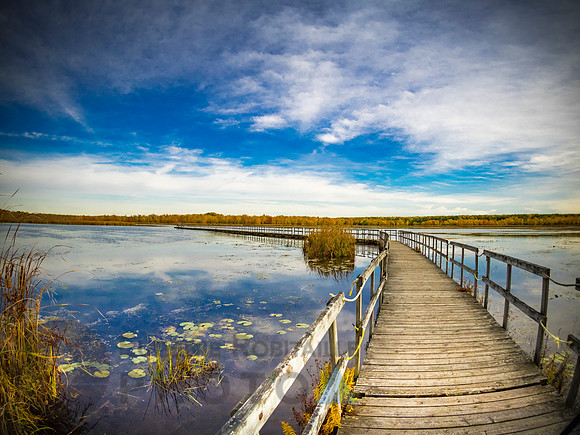 Autumn landscape
