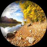 Autumn landscape
