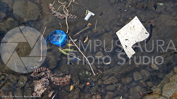 Trash Littering the banks of Montreal's Île-de-la-Visitation Nature Park
