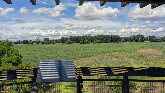 Vue des battures depuis la tour d'observation de l'ile de la commune.