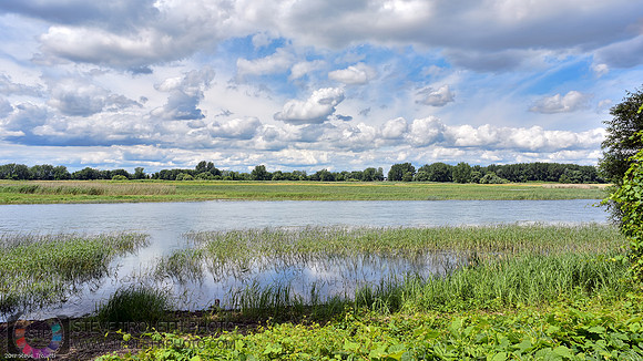 Vue de l'ile Dufault depuis l'ile Grosbois
