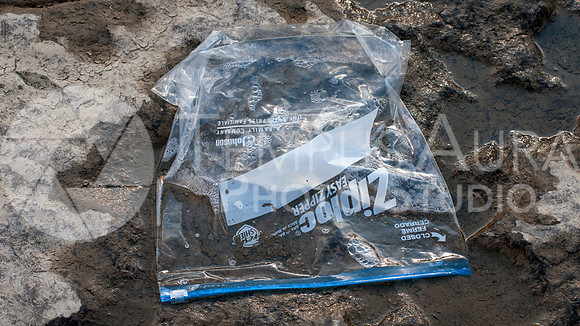 Déchets - Parc Nature Île-de-la-Visitation Nature Park - Litter