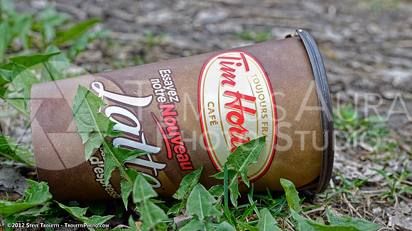 Trash Littering the banks of Montreal's Île-de-la-Visitation Nature Park