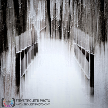 ICM - The little wooden bridge