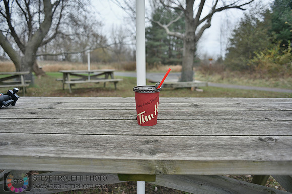Novembre 2017 - Déchets dans la parc national des Îles-de-Boucherville