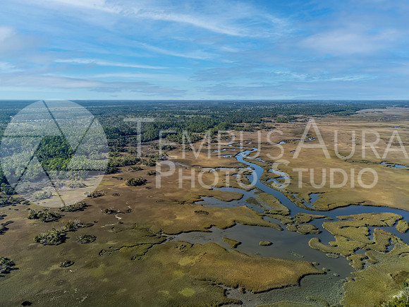 Northeast Florida Wetlands - Aerial