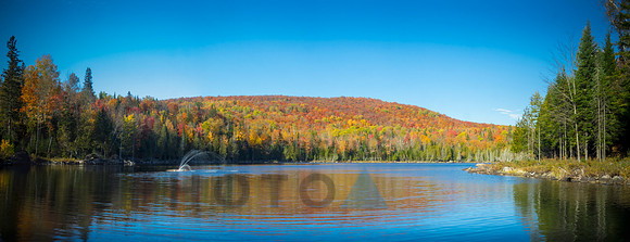 Autumn landscape