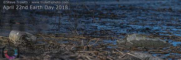 Earth Day - April 22nd 2018 - Snapping Turtle and Trash