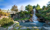 Botanial Garden in spring