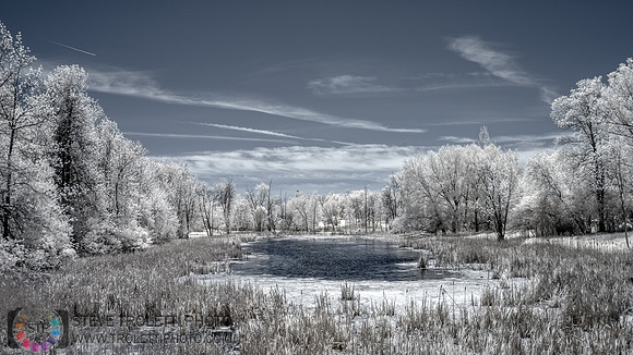 The Marsh / Le Marais - IR