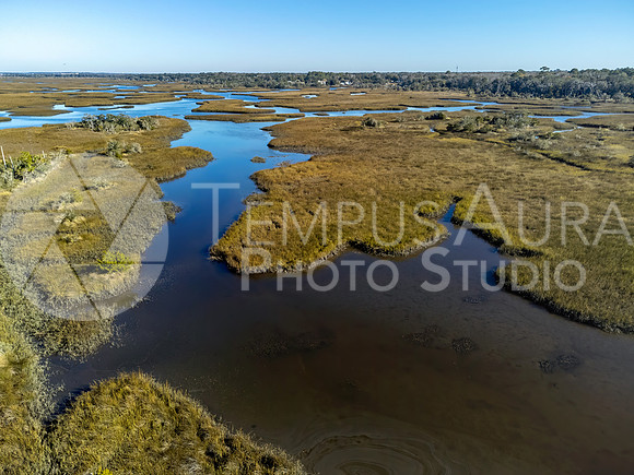 Dutton Island Preserve Southwest Side