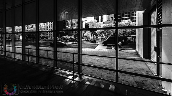 Through the Windows - IR B&W