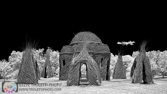 Fancy's Bower - IR